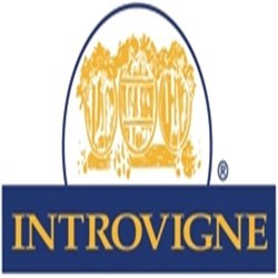 Cantine Introvigne - Vini e Spumanti