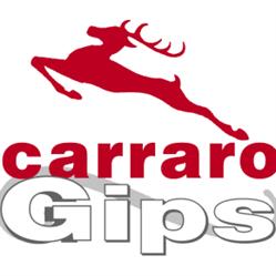 Carraro Gips SRL