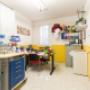 Gallery Professionale
