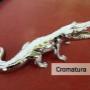 Cromatura