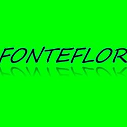 Fonteflor Di Segatto Sergio & C. S.a.s.