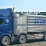 Camion