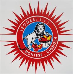 Leonesi SRL