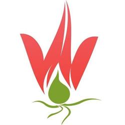 Moonflower SRL