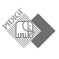 PIDIGI SPA