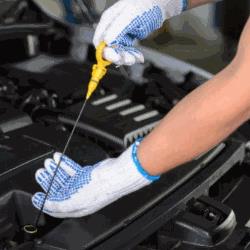 Trevisan Autoservice Sas officina BOSCH Car Service