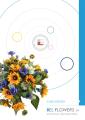 CASE HISTORY di Bel Flowers srl - Decorazioni Artificiali