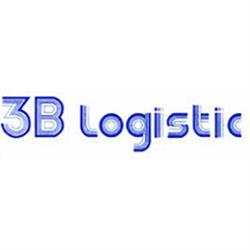 3b Logistic