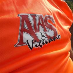 A.I.A.S. Sezione Di Vigevano