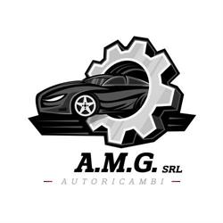 A.M.G. SRL