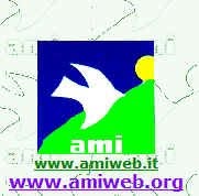 A.M.I.Amici Missioni Indiane
