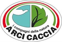 A.r.c.i. Caccia