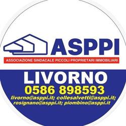 A.s.p.p.i. Assoc. Sind. Piccoli e Medi Proprietari Immobil.