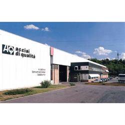 Acciai di Qualita' Spa