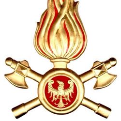 Vigili Del Fuoco