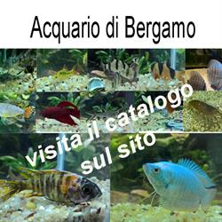 Acquario di Bergamo