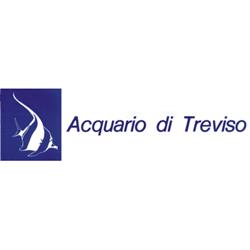 Acquario di Treviso