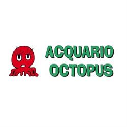 Acquario Octopus