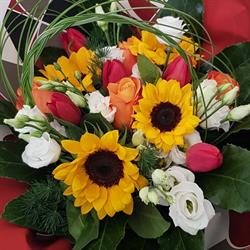Adri Fleur Di Signorino Tiziana