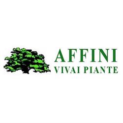 Affini Vivai