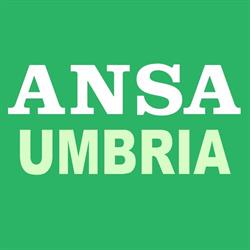 Agenzia Ansa