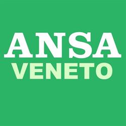 Agenzia Ansa