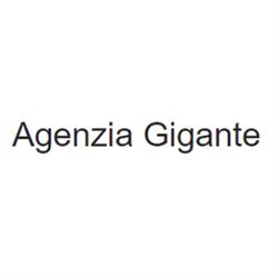 Agenzia Gigante Pratiche Auto