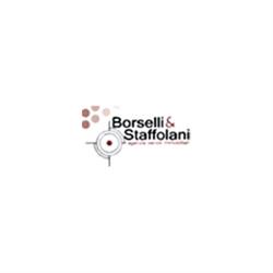 Agenzia Immobiliare Borselli e Staffolani