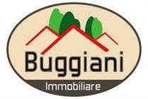Agenzia Immobiliare Buggiani Di Buggiani Stella & C. S.a.s.