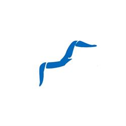 Teknoimmobiliare & Immobiliare Gabbiano