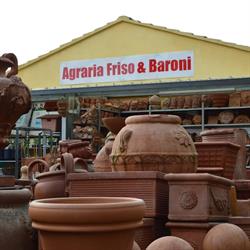 Agraria Friso & Baroni Di Friso Roberto e Baroni Alessandro SNC