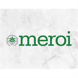 Meroi di Meroi Filippo