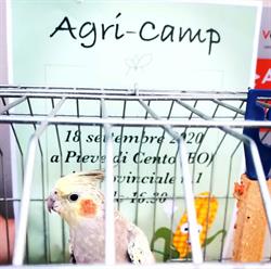Agri - C.A.M.P. (S.N.C.)