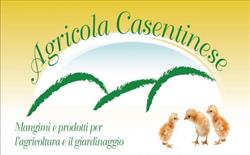 Agricola Casentinese Bassi SRL
