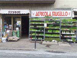 Agricola Mugello Sas