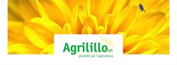Agrilillo SRL