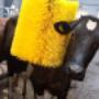 Agrisystem - Prodotti per Il Benessere degli Animali