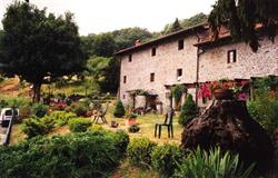 Agriturismo Il Volpino