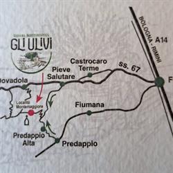 Azienda Agricola Gli Ulivi