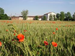 Agropolis (soc.coop.r.l.)