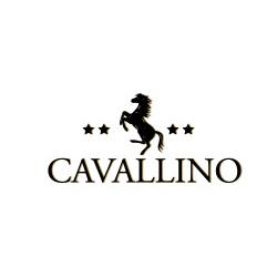 Hotel Cavallino