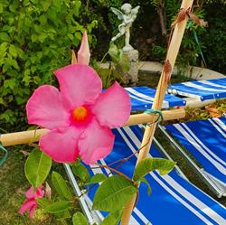 Hotel Parma e Oriente Wellness & Spa