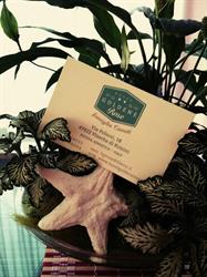Albergo Goldene Rose