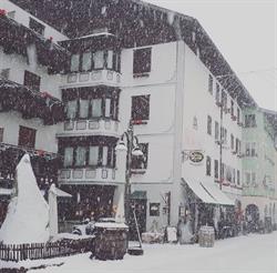 Albergo Alpino
