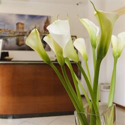 Hotel Boccaccio