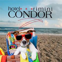 Albergo Condor