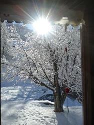 Albergo Gasthaus Lysjoch
