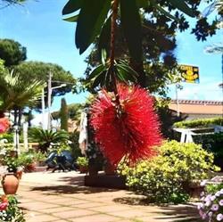 Albergo Hotel Giardino