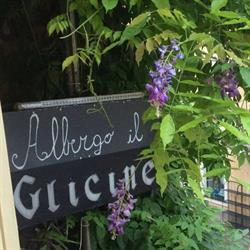 Albergo Il Glicine