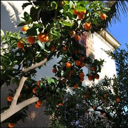 Albergo Lodi